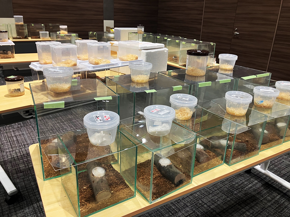 生体展示準備その1